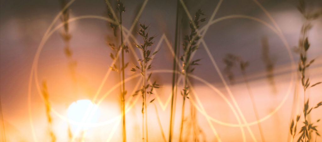 What makes you Divine?